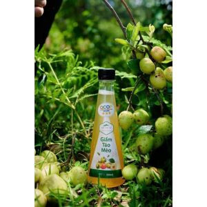 Giấm Táo Mèo -